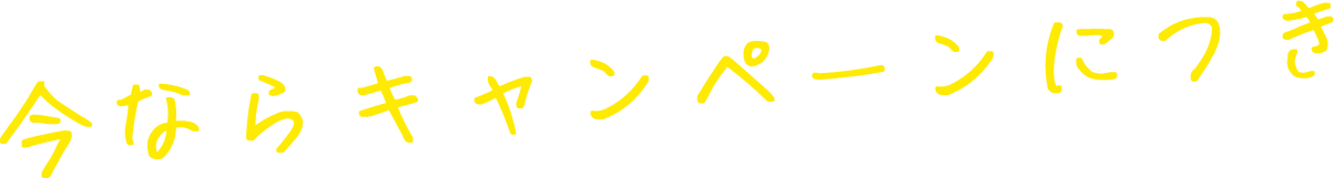 今ならキャンペーンにつき